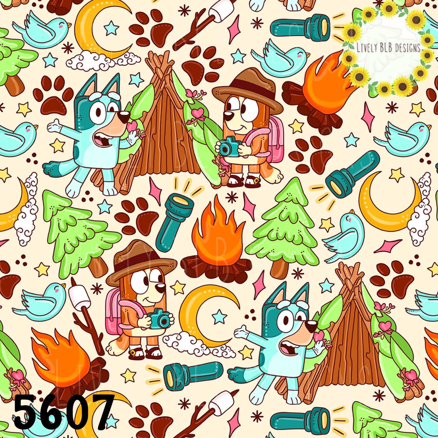 5607