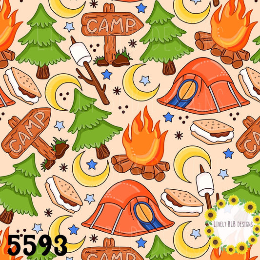 5593